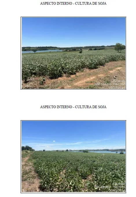 Comprar Rural / Fazenda em Zacarias apenas R$ 20.350.000,00 - Foto 6