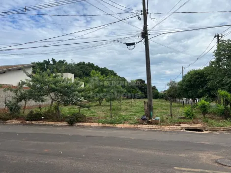 Terreno / Padrão em Palestina 