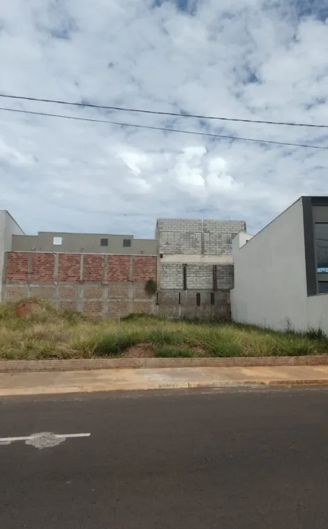 Alugar Terreno / Área em Mirassol. apenas R$ 800.000,00