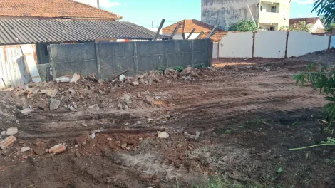 Comprar Terreno / Área em Bady Bassitt apenas R$ 5.200.000,00 - Foto 2