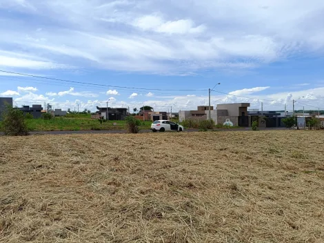 Comprar Terreno / Padrão em Uchoa apenas R$ 43.000,00 - Foto 3