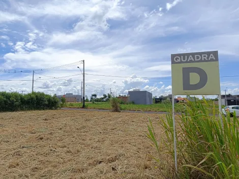 Comprar Terreno / Padrão em Uchoa apenas R$ 43.000,00 - Foto 4