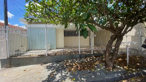 Casa / Padrão em São José do Rio Preto 