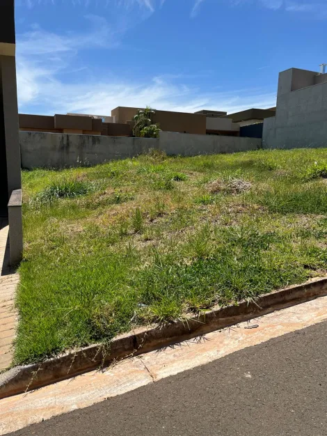 Comprar Terreno / Condomínio em São José do Rio Preto apenas R$ 230.000,00 - Foto 5