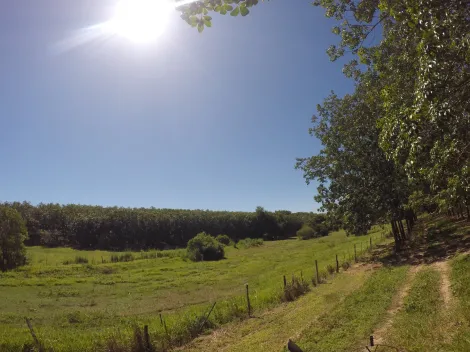 Rural / Fazenda em Auriflama 