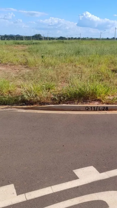 Alugar Terreno / Padrão em São José do Rio Preto. apenas R$ 634.460,00