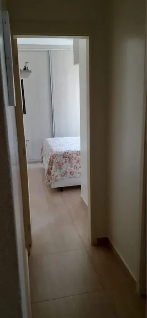 Alugar Apartamento / Padrão em São José do Rio Preto apenas R$ 1.550,00 - Foto 10