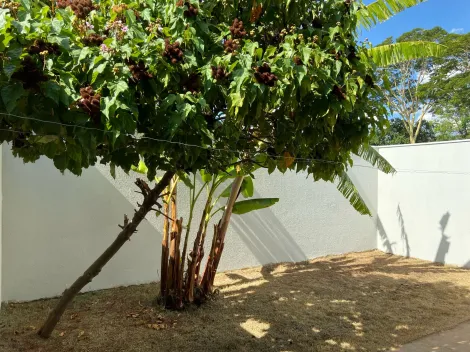 Alugar Casa / Padrão em Bady Bassitt apenas R$ 1.300,00 - Foto 33