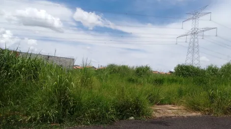 Bady Bassitt - Lago Sul II - Terreno - Padrão - Venda