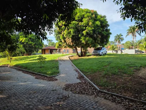 São José do Rio Preto - Chácara Bela Vista - Rural - Chácara - Locaçao / Venda