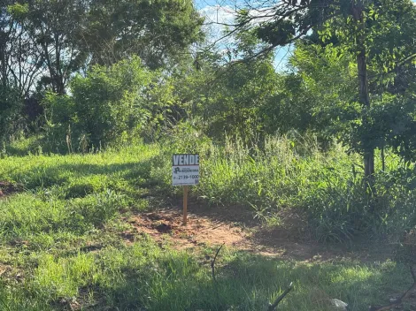 Comprar Terreno / Padrão em São José do Rio Preto apenas R$ 75.000,00 - Foto 2