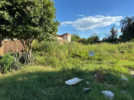 Comprar Terreno / Padrão em São José do Rio Preto apenas R$ 75.000,00 - Foto 4